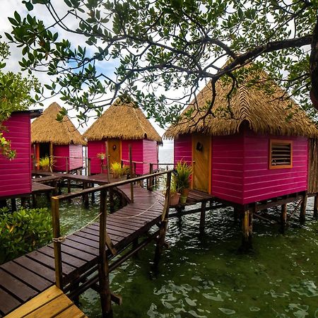 Urraca Monkey Island Eco Resort (Adults Only) Punta Laurel Eksteriør billede