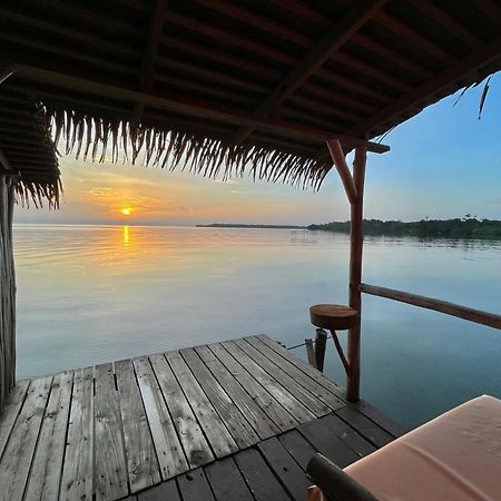 Urraca Monkey Island Eco Resort (Adults Only) Punta Laurel Eksteriør billede