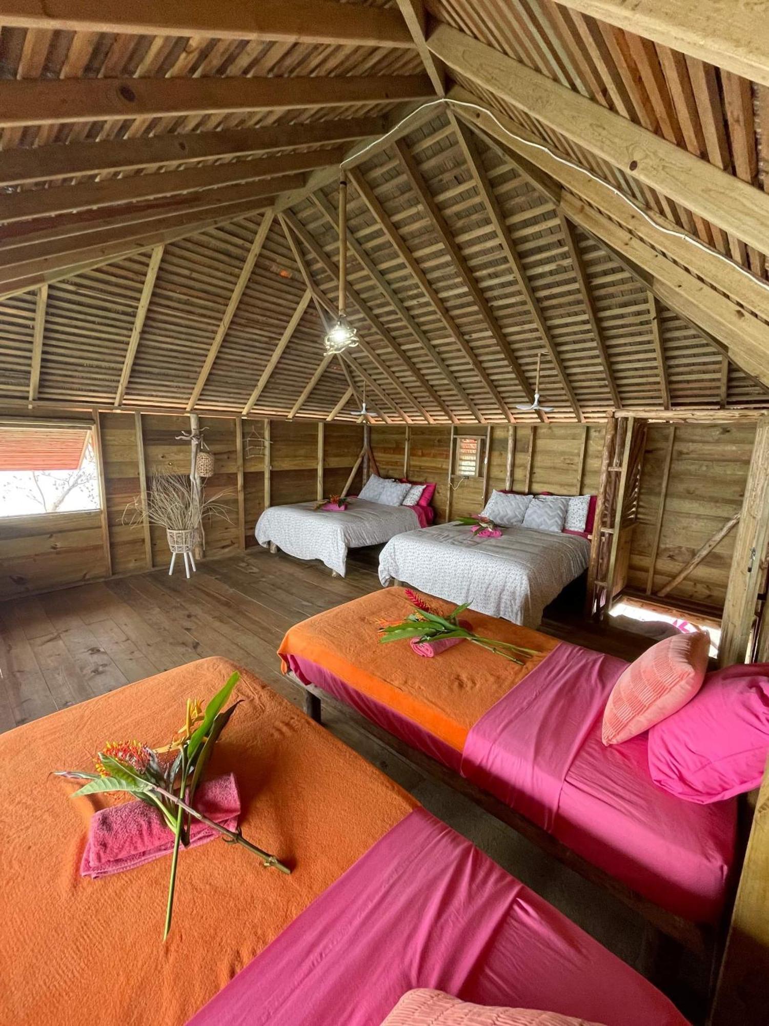 Urraca Monkey Island Eco Resort (Adults Only) Punta Laurel Eksteriør billede