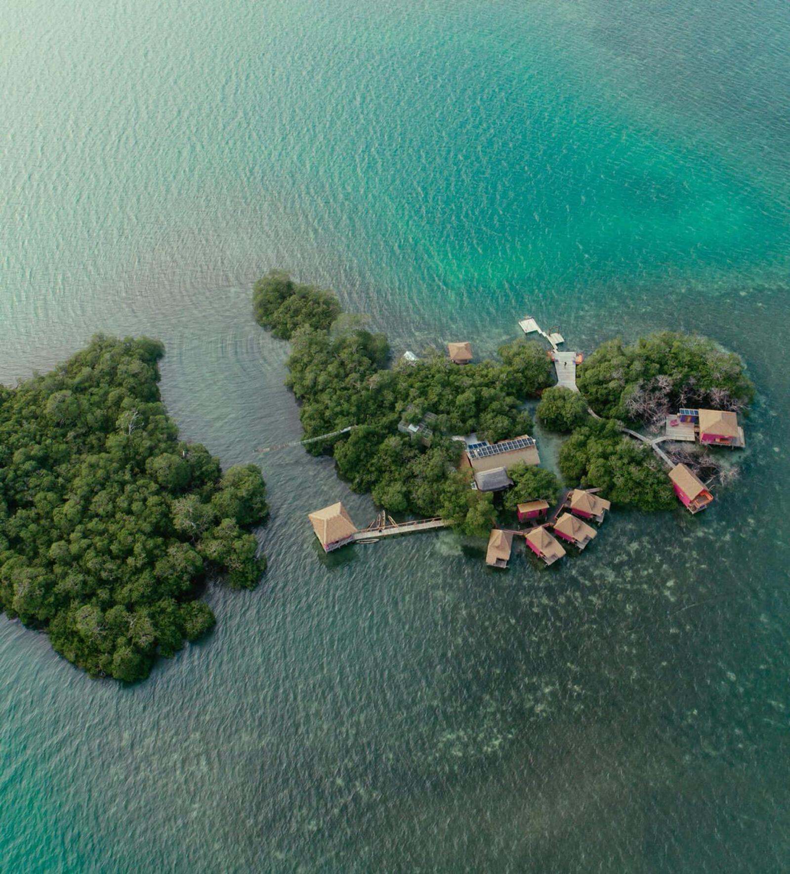 Urraca Monkey Island Eco Resort (Adults Only) Punta Laurel Eksteriør billede