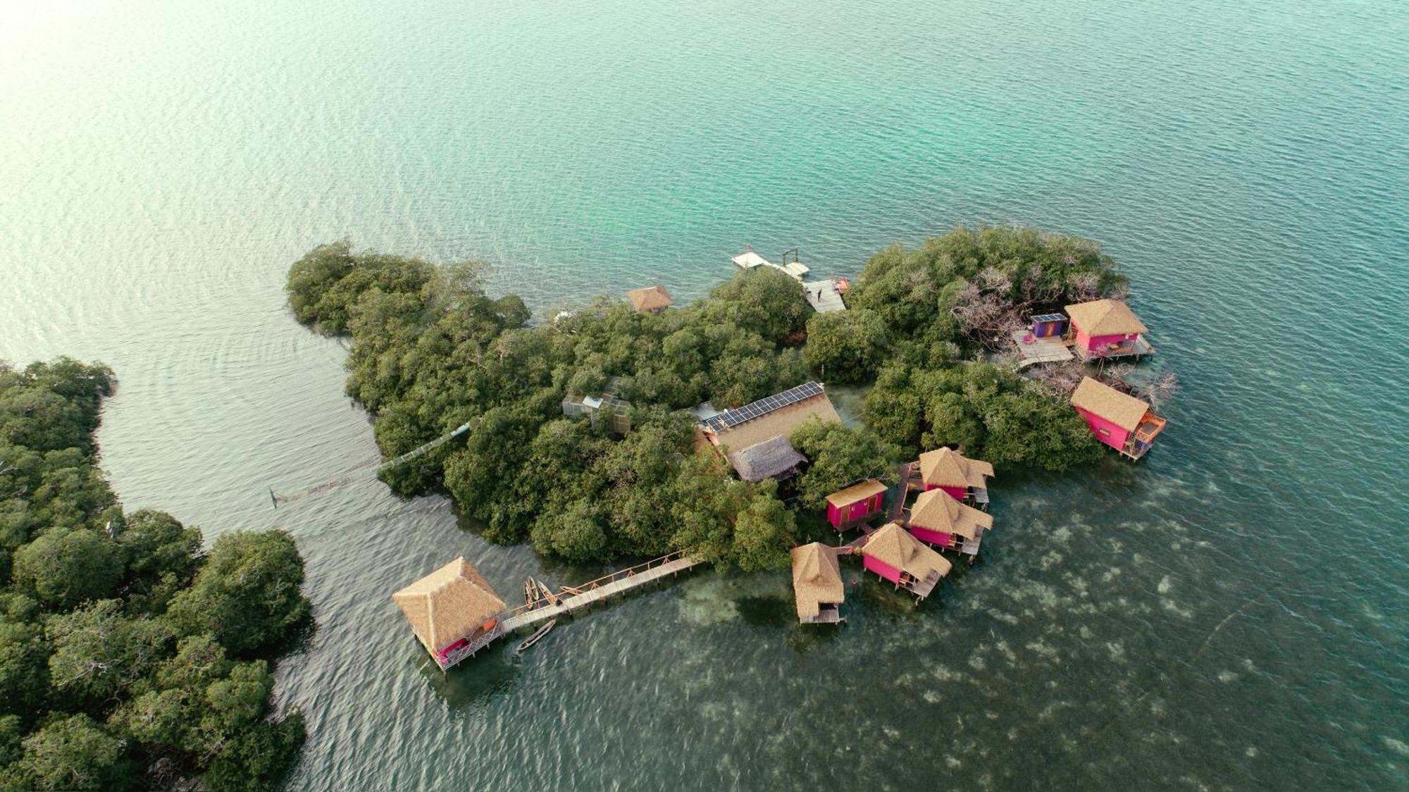 Urraca Monkey Island Eco Resort (Adults Only) Punta Laurel Eksteriør billede