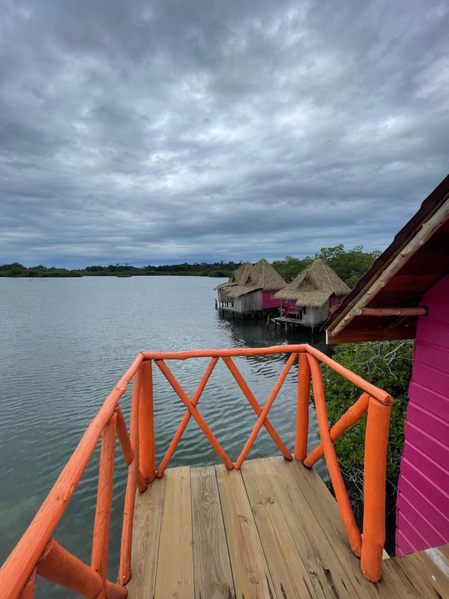 Urraca Monkey Island Eco Resort (Adults Only) Punta Laurel Eksteriør billede