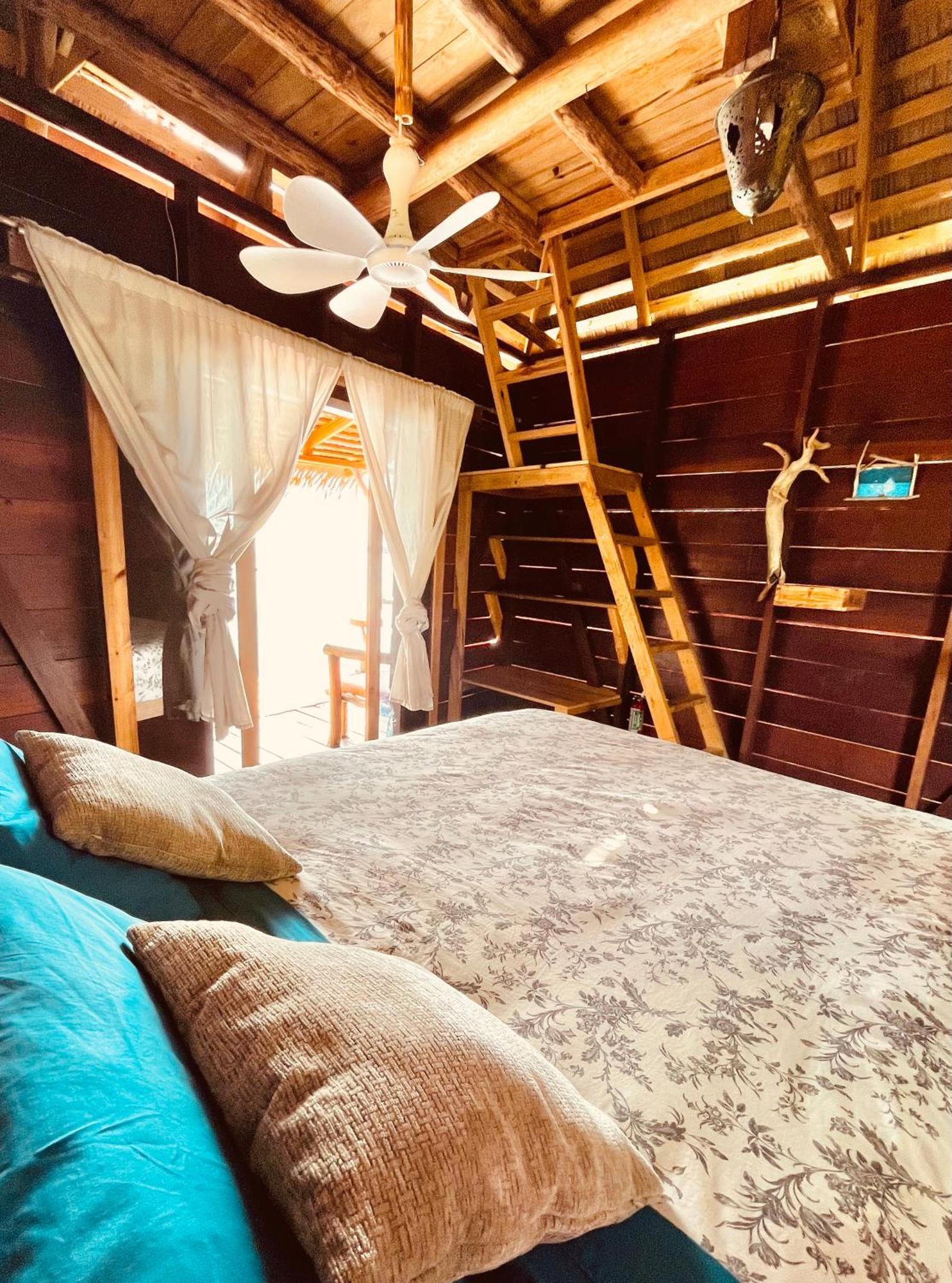 Urraca Monkey Island Eco Resort (Adults Only) Punta Laurel Værelse billede