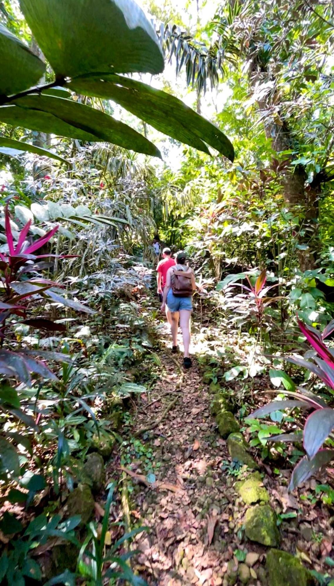 Urraca Monkey Island Eco Resort (Adults Only) Punta Laurel Eksteriør billede