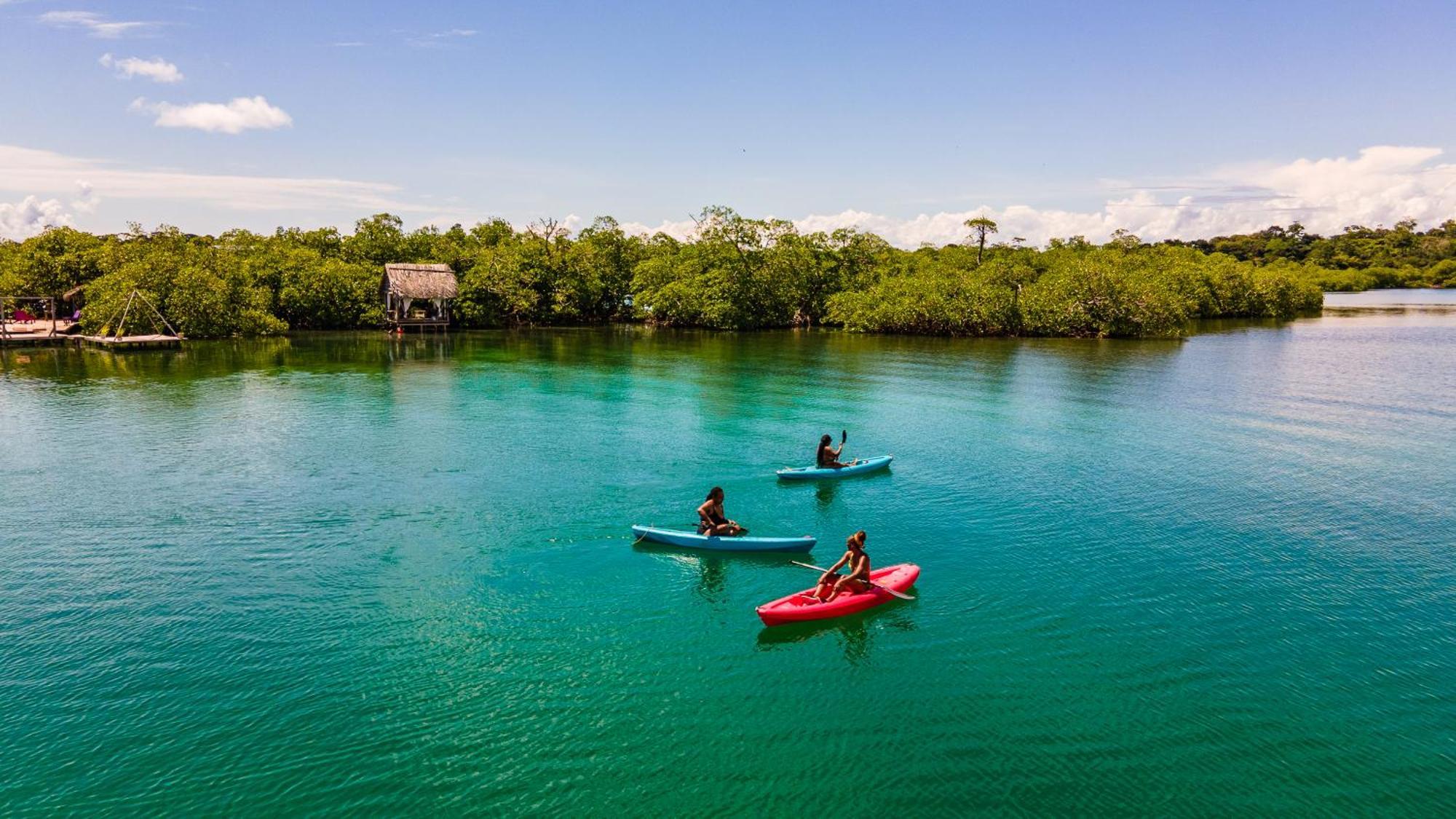 Urraca Monkey Island Eco Resort (Adults Only) Punta Laurel Eksteriør billede