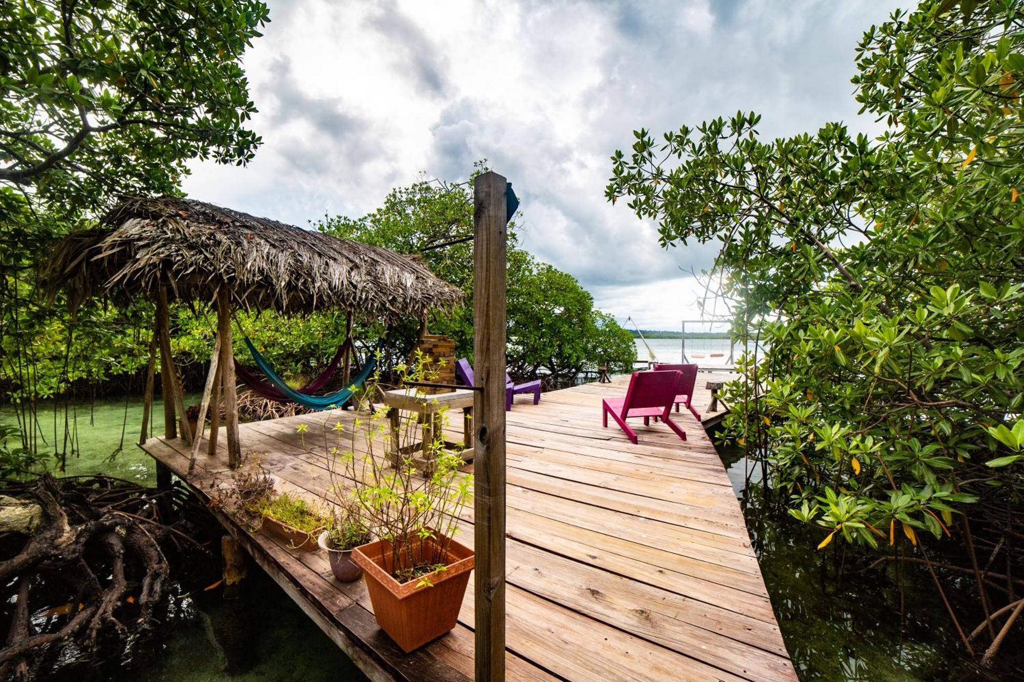Urraca Monkey Island Eco Resort (Adults Only) Punta Laurel Eksteriør billede